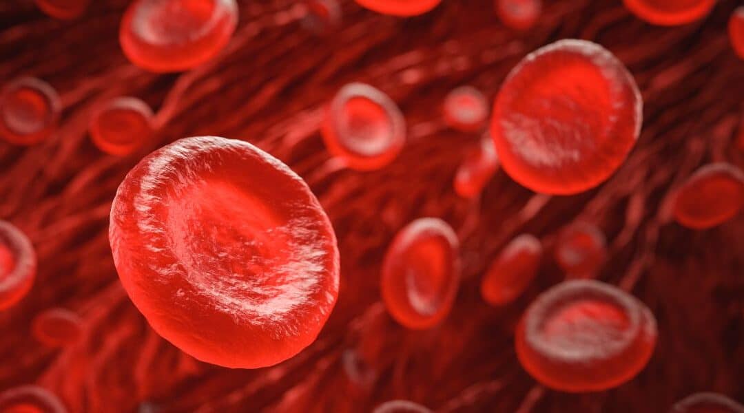 Blog G6PD Deficiency Explained: The Hidden Condition Affecting Millions