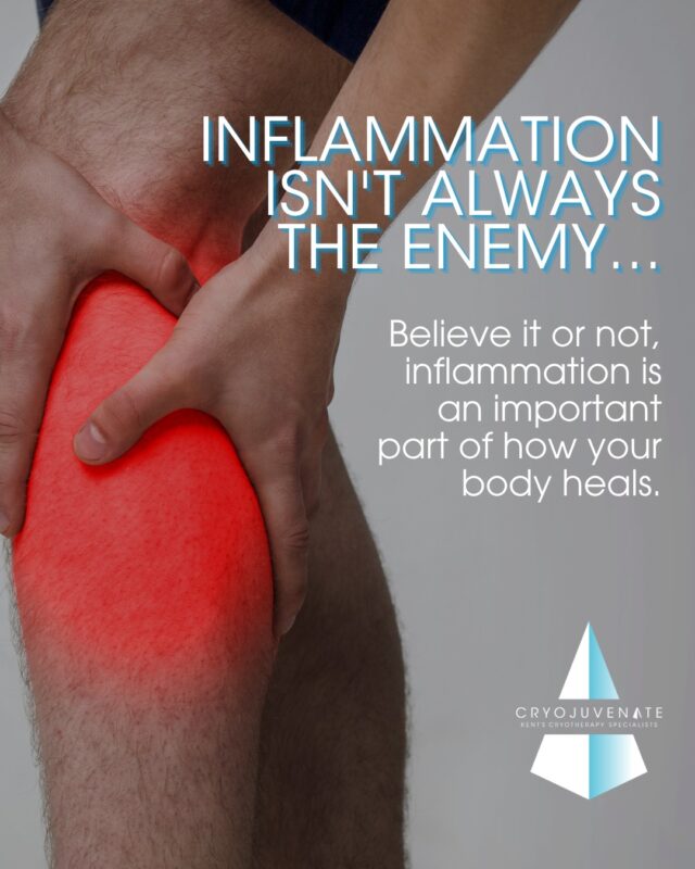 Inflammation often gets a bad reputation... but the truth is, we actually need it. 💙

Without inflammation, our bodies wouldn't be able to heal after an injury, fight off infections or repair damaged tissue.

It's a completely natural part of the healing process.

The key is balance.

Short-term inflammation is your body's way of protecting and repairing itself.
 
Problems can arise when inflammation sticks around longer than it should.

That's one of the reasons so many people become interested in recovery, movement, good nutrition and treatments that support overall wellbeing - they're all part of looking after your body in the long run. ✨

Swipe through to learn why inflammation isn't always the bad guy. ➡️

#Cryojuvenate #Recovery #Inflammation #WellnessJourney #Sevenoaks